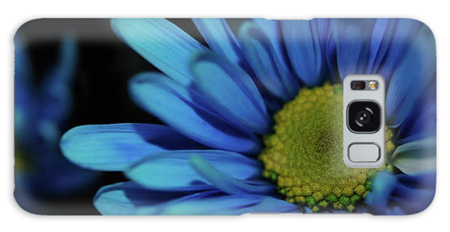 Blue Daisy - Phone Case