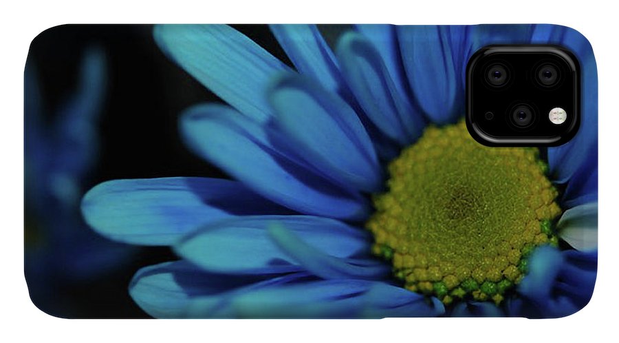 Blue Daisy - Phone Case