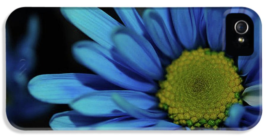Blue Daisy - Phone Case
