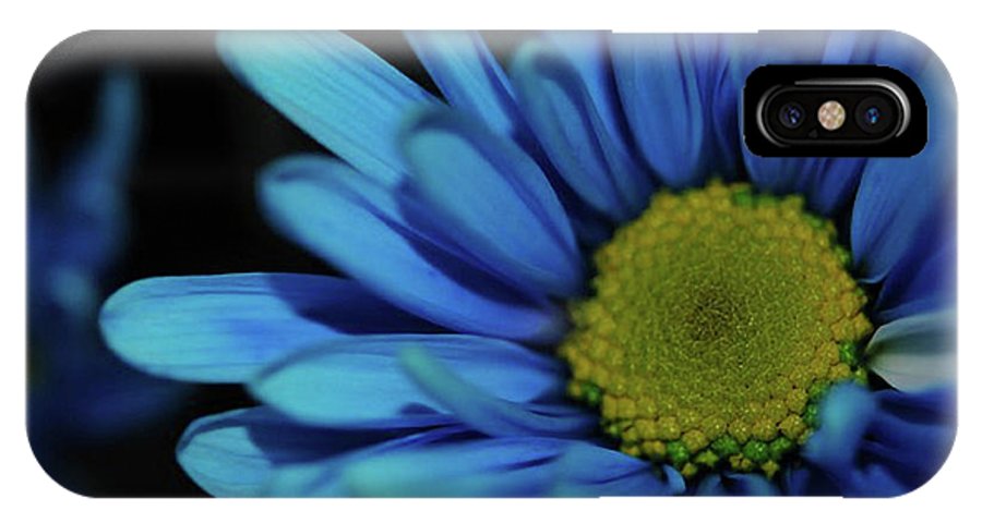 Blue Daisy - Phone Case