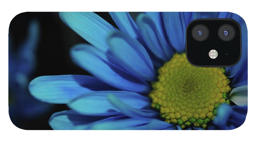 Blue Daisy - Phone Case