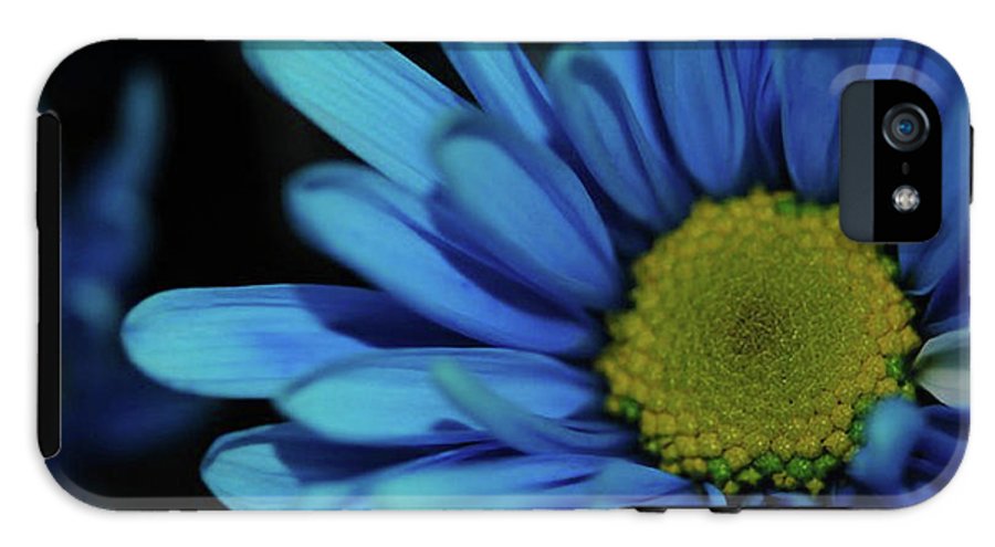 Blue Daisy - Phone Case