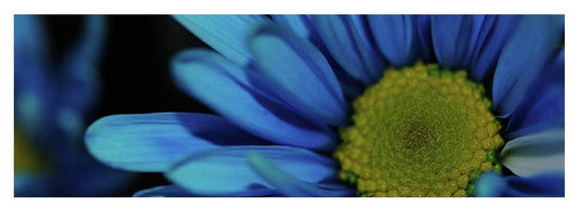 Blue Daisy - Yoga Mat