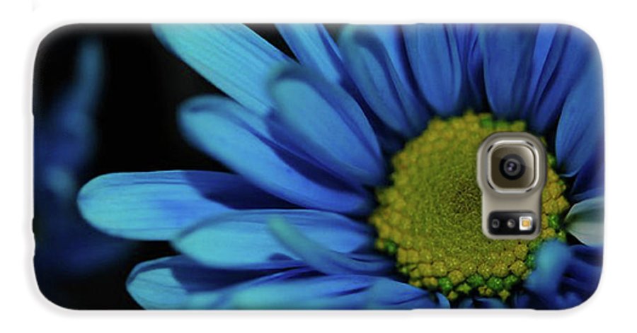 Blue Daisy - Phone Case