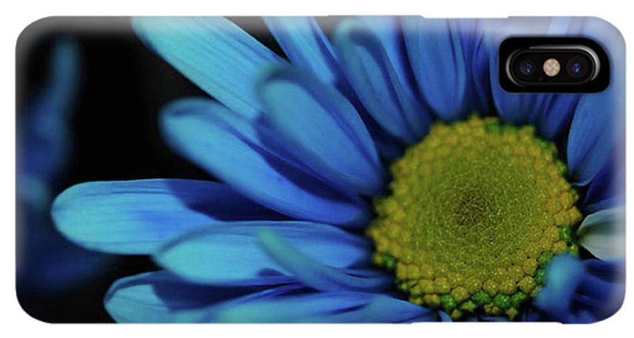 Blue Daisy - Phone Case