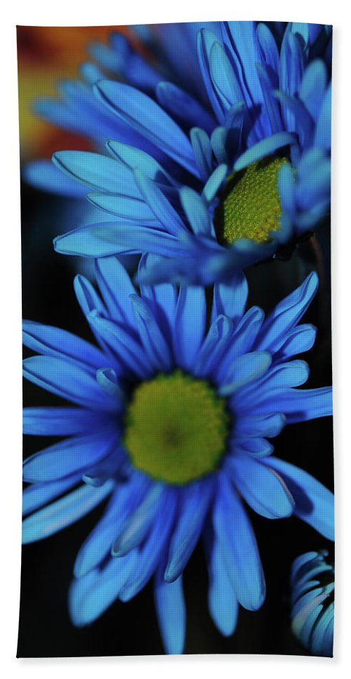 Blue Daisy Vertical - Beach Towel