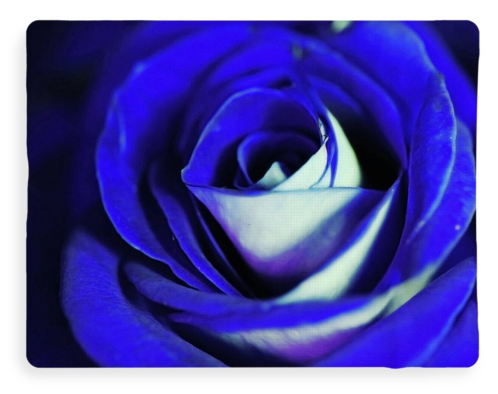 Blue Rose - Blanket