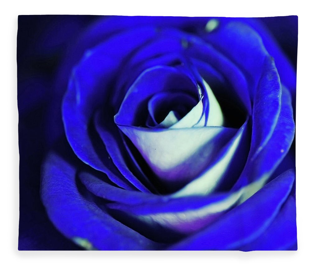 Blue Rose - Blanket