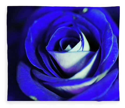 Blue Rose - Blanket