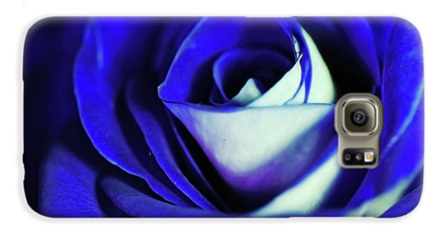 Blue Rose - Phone Case