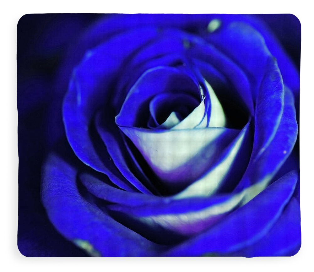 Blue Rose - Blanket