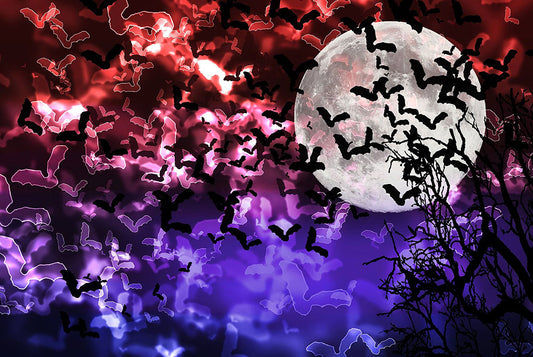 Bokeh Light Bats Digital image Download