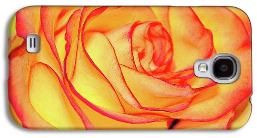 Bright Orange Rose - Phone Case