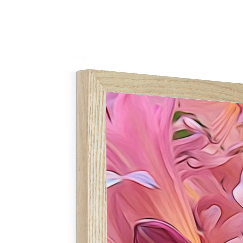Pink Amaryllis Framed Print