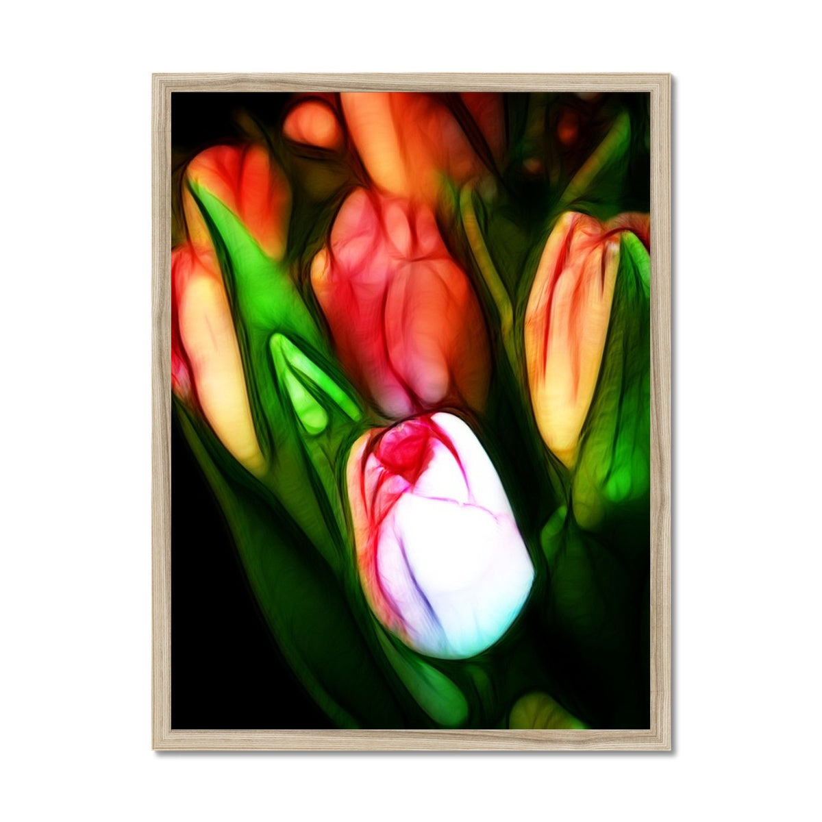 Pink Tulips Framed Print