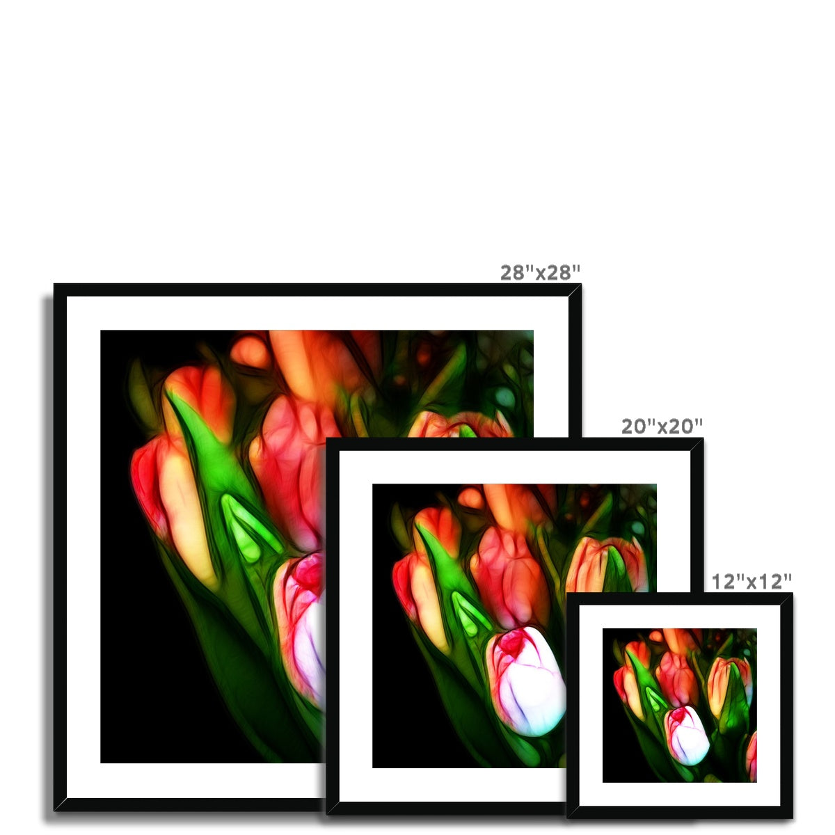 Pink Tulips Framed & Mounted Print