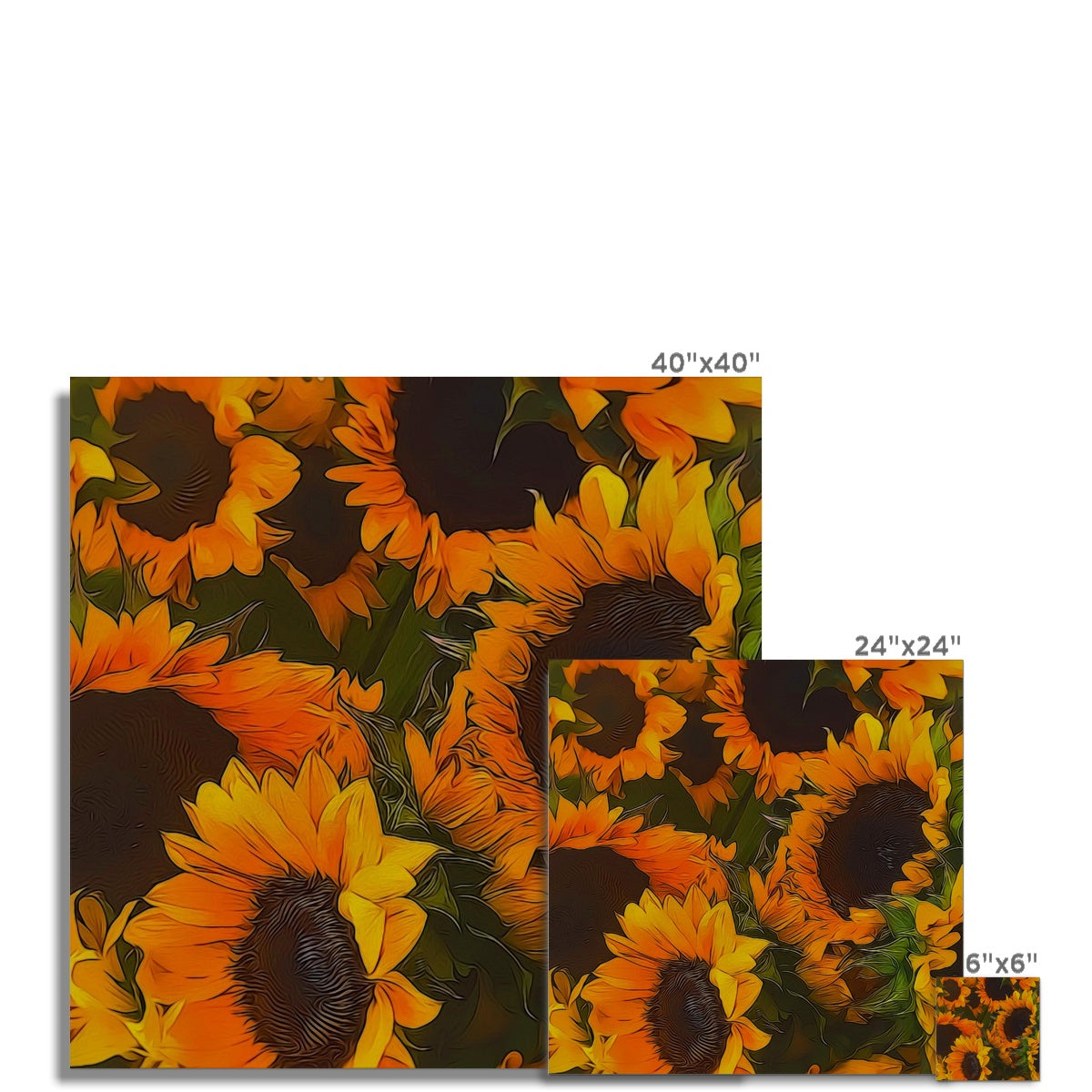 Sunflowers Hahnemühle Photo Rag Print