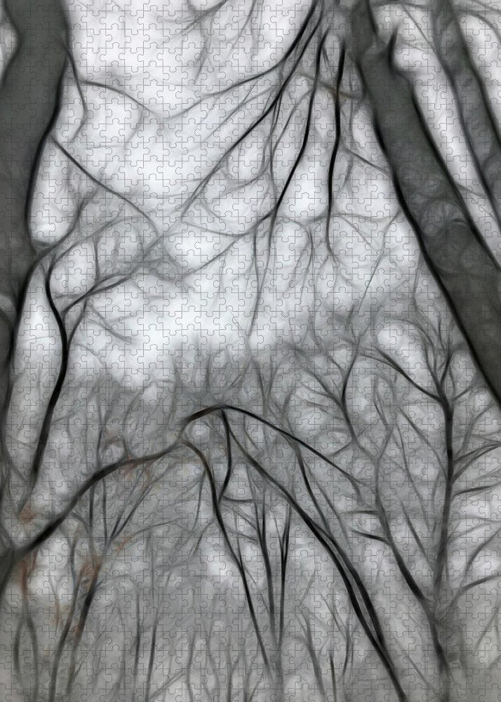 Calm Winter - Puzzle