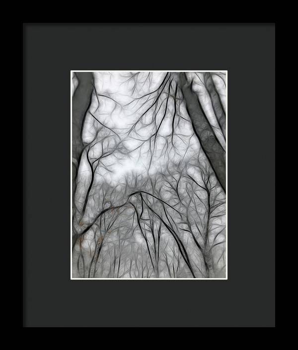 Calm Winter - Framed Print