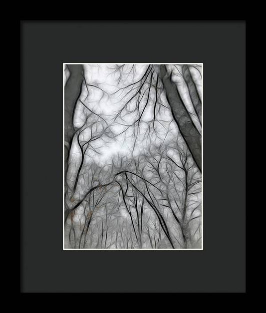 Calm Winter - Framed Print