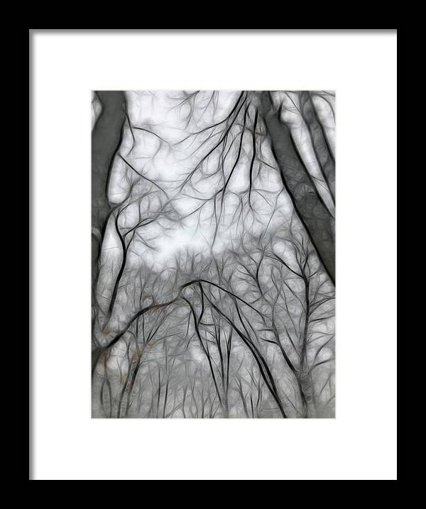 Calm Winter - Framed Print