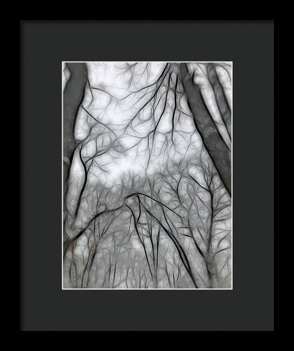 Calm Winter - Framed Print