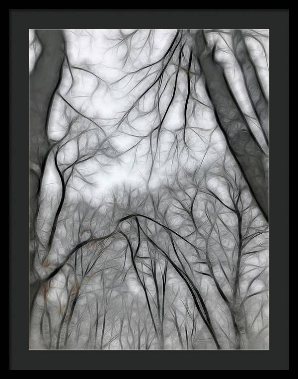 Calm Winter - Framed Print