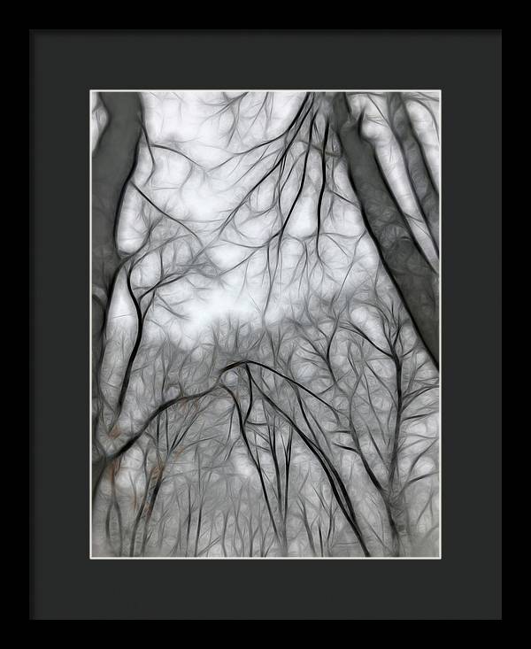 Calm Winter - Framed Print