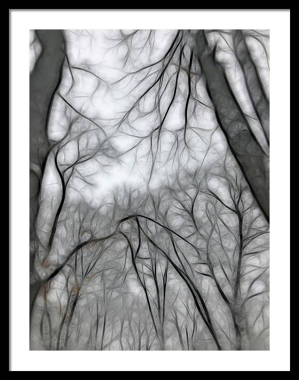Calm Winter - Framed Print