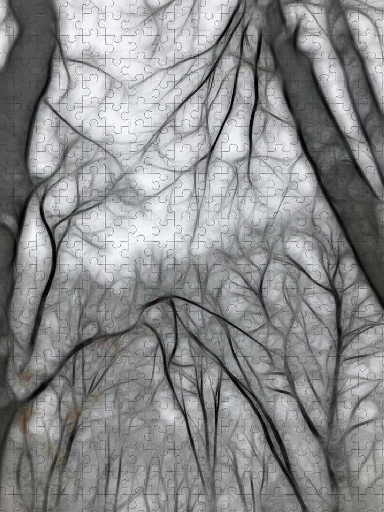 Calm Winter - Puzzle