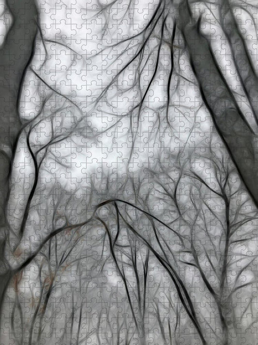 Calm Winter - Puzzle