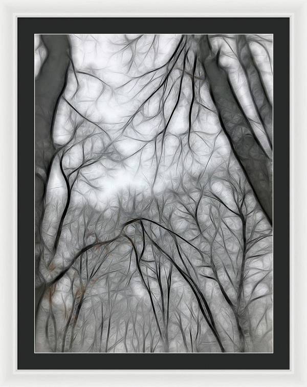 Calm Winter - Framed Print