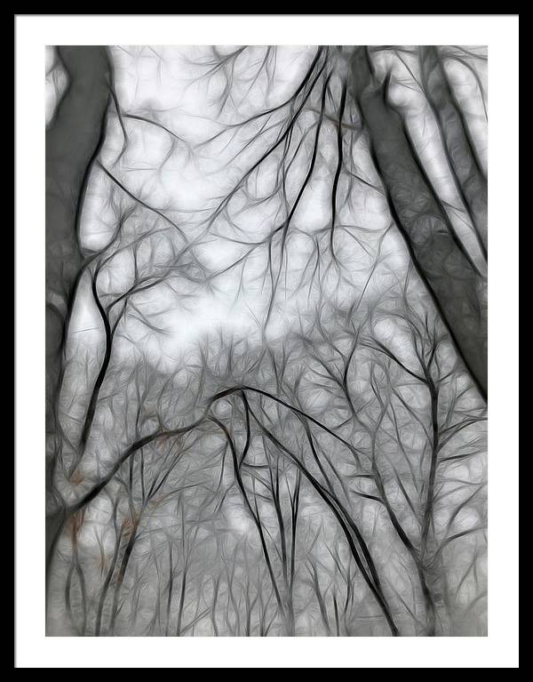 Calm Winter - Framed Print