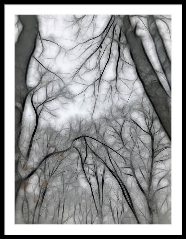 Calm Winter - Framed Print