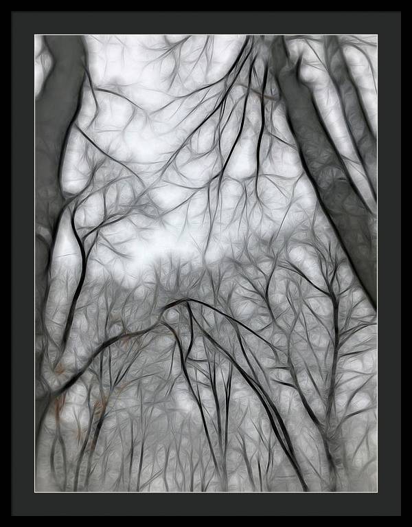 Calm Winter - Framed Print