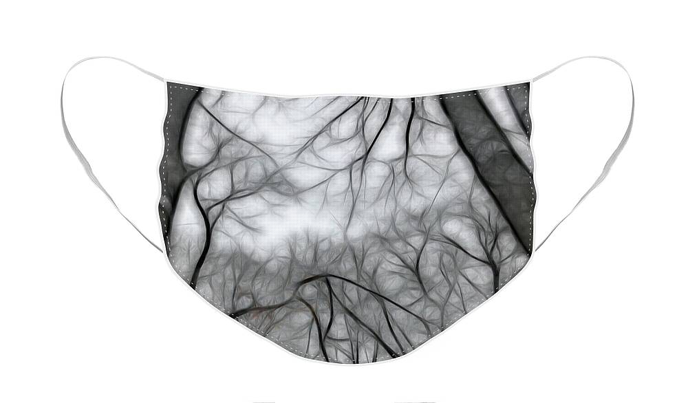 Calm Winter - Face Mask