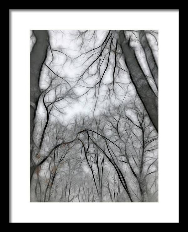Calm Winter - Framed Print