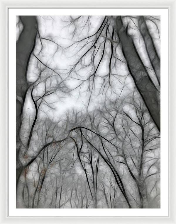 Calm Winter - Framed Print