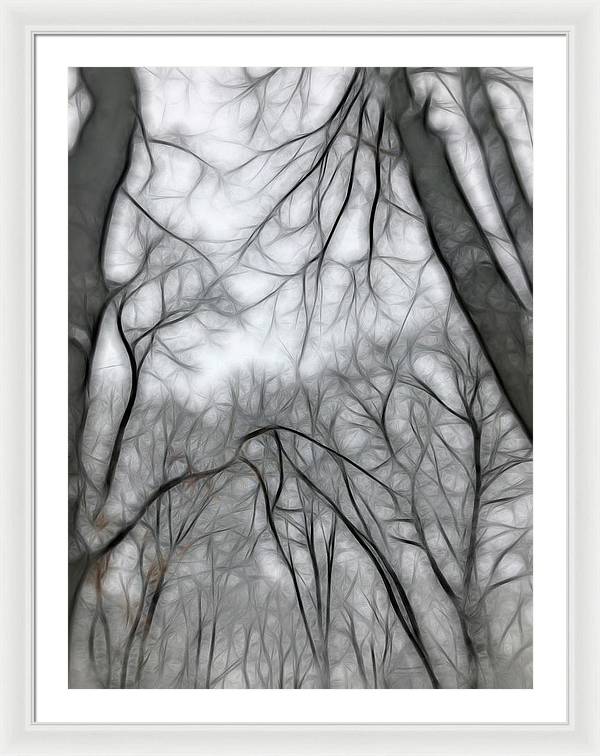 Calm Winter - Framed Print