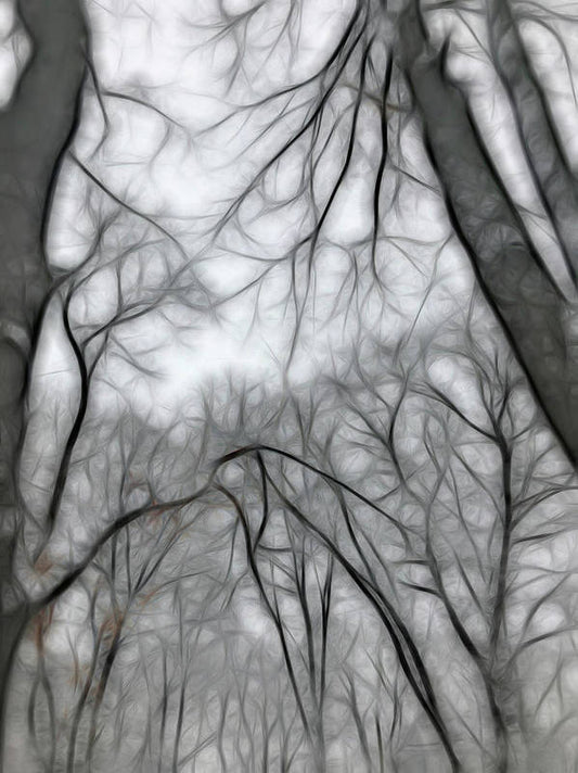 Calm Winter - Art Print