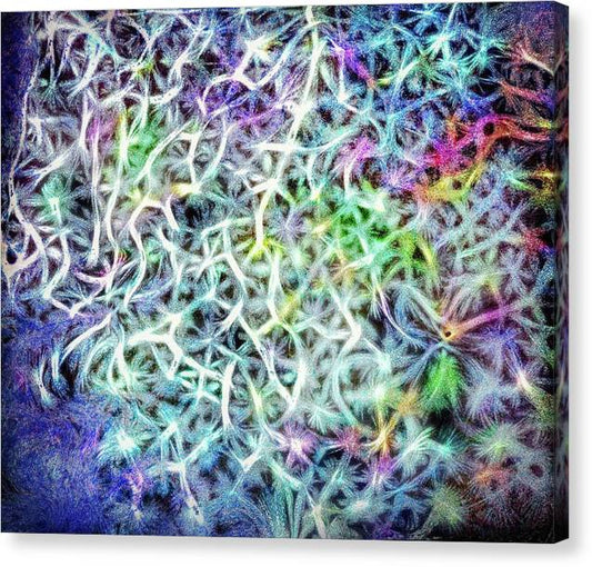 Caressing The Strings Again - Canvas Print