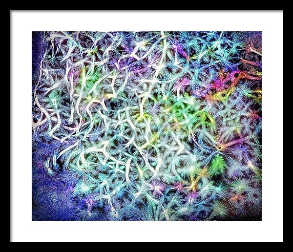 Caressing The Strings Again - Framed Print
