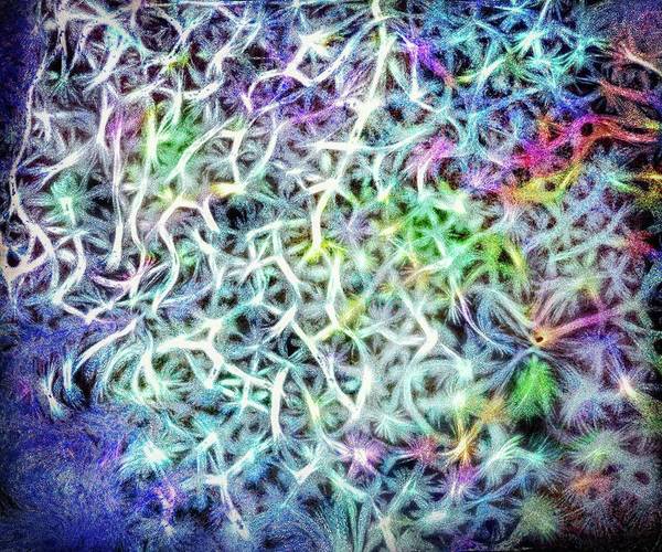 Caressing The Strings Again - Art Print