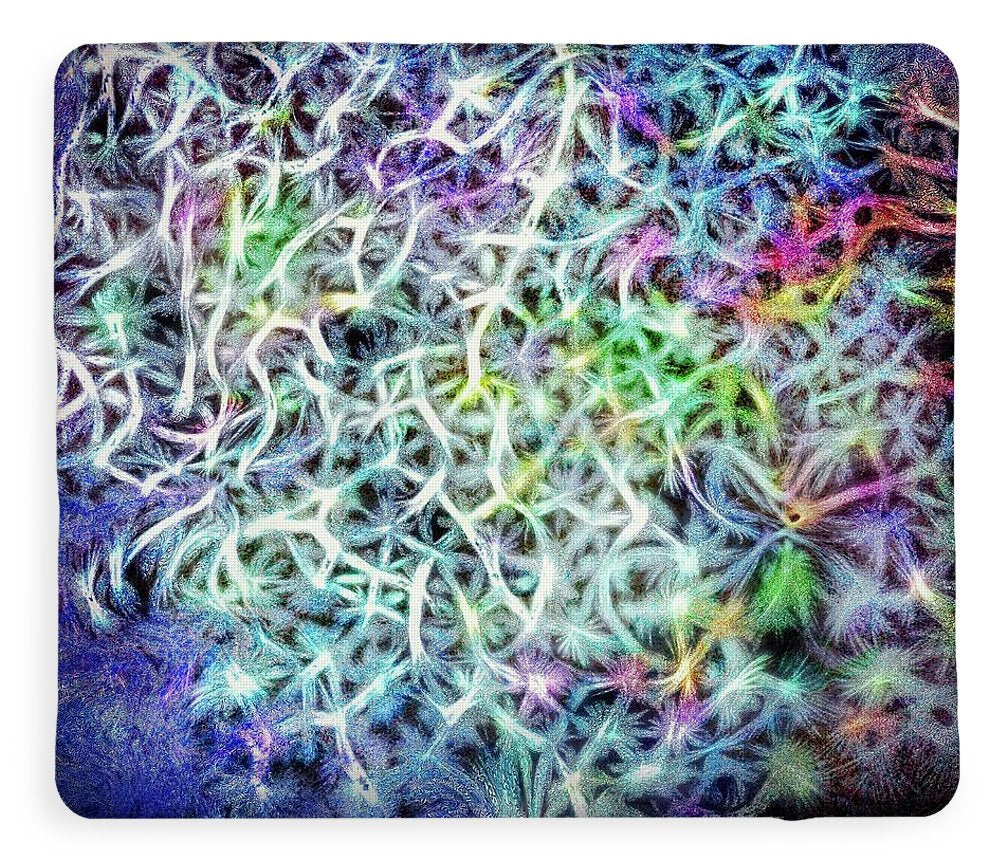 Caressing The Strings Again - Blanket