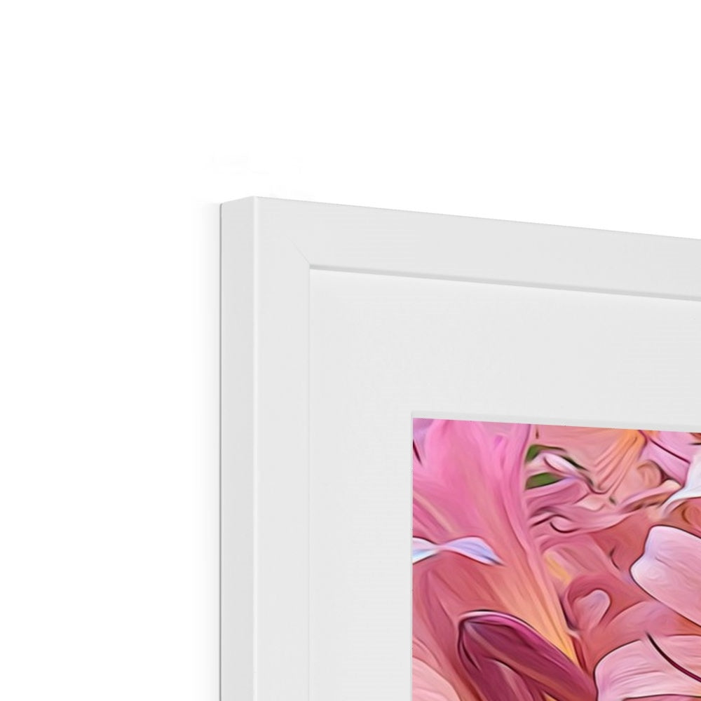 Pink Amaryllis Framed & Mounted Print
