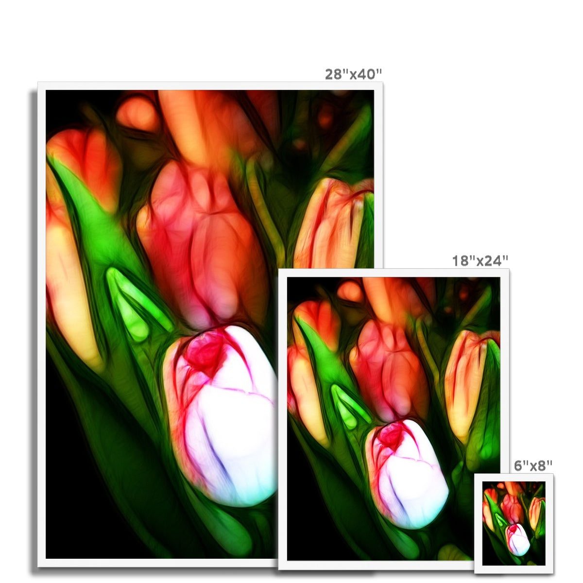 Pink Tulips Framed Print