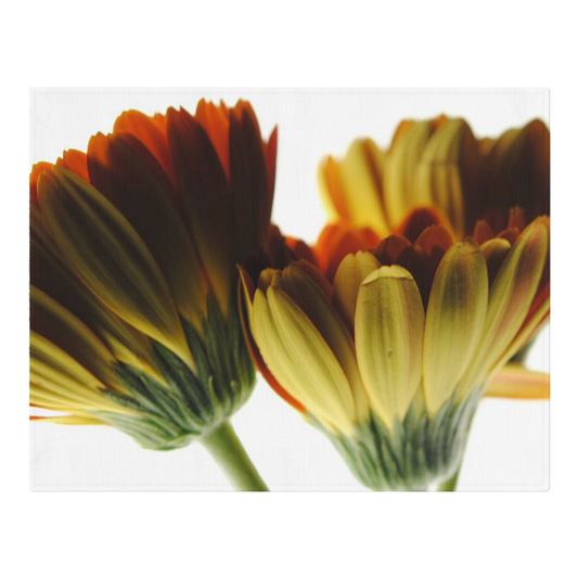 Daisy Undersides Woven Placemats