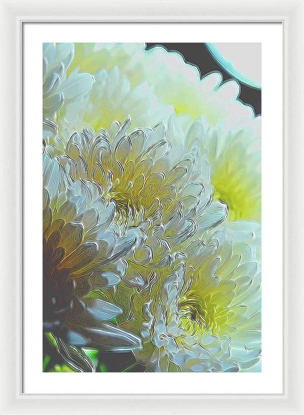 Chrysanthemums in White Light - Framed Print