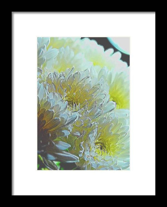 Chrysanthemums in White Light - Framed Print