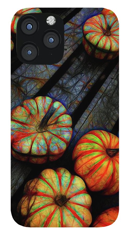 Colorful Fall Gourds - Phone Case